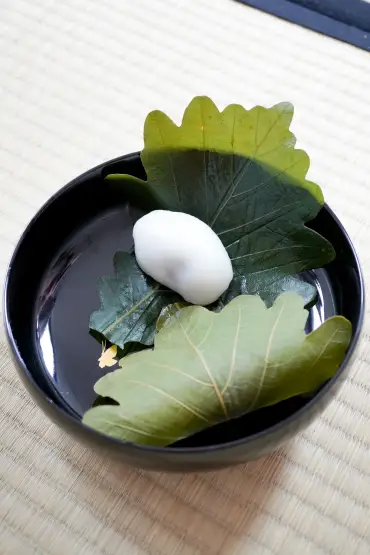 Kashiwa Mochi and Children’s Day in Japan